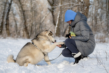 A girl in a winter jacket walks with a Siberian husky dog. Winter.