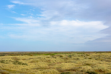 Overview of the dunes covered with marram beach grass, Landscape view of sand dike on the Dutch Wadden Sea island Terschelling with warm sunlight, An island in the northern, Friesland, Netherlands.