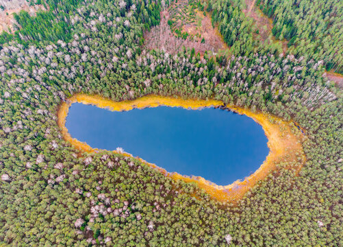 Aerial view of the lake in Lithuanian forests, autumn, wild nature. Name of the lake "Bildiskes", Varena district, Europe.