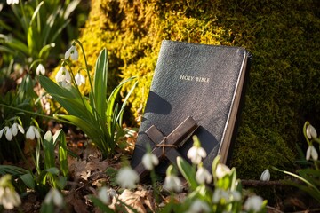 Wood Christian cross with a holy bible in forest.
