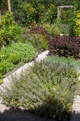 Obraz premium Jardin résiliant - bandes de plantes médicinales et potagères entourées de fleurs, buissons et arbustes