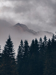 Chocholowska Valley in autumn - Tatra Mountains