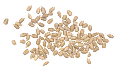 Pile sunflower seeds shelled, without salt isolated on white 