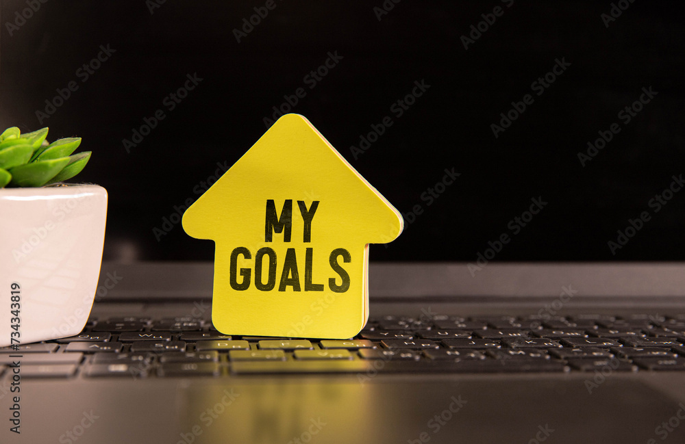 Poster piece of paper on a grey background with text my goals.