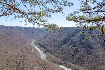 Canyon River View Through Forest Trees at New River Gorge National Park