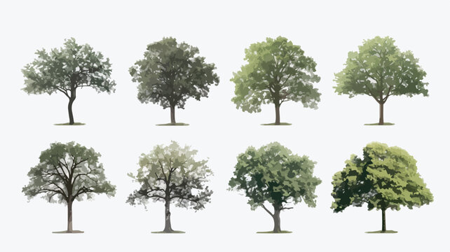Tree icon. Oak symbol. Green trees with leaves.