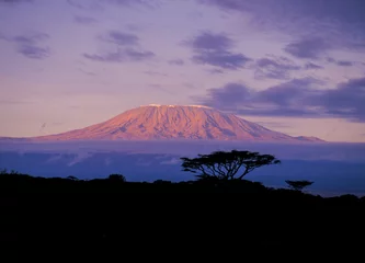 Cercles muraux Kilimandjaro Mount Kilimanjaro is a dormant volcano located in Kilimanjaro Region of Tanzania. Africa.