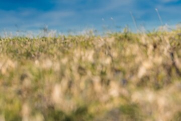 background textures wall for artworks