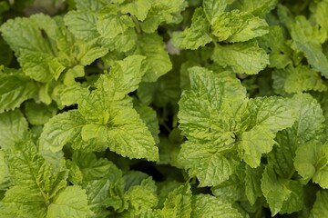 background textures wall for artworks