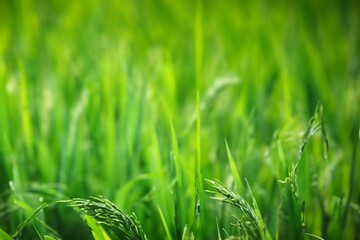 background textures wall for artworks