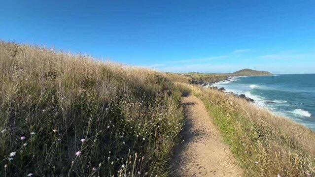 Landscape 4k footage of the pathway through wildflowers near Kings Beach on the Heysen Trail on the Fleurieu Peninsula in South Australia