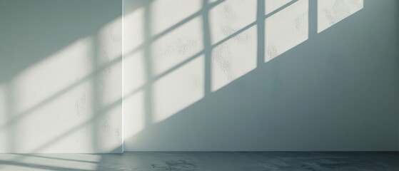 Sunlight Shadows Casting on a White Wall