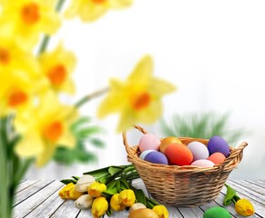 Easter eggs and ÑÑ‰Ð´Ñ‰ÐºÐ°Ð³Ð´ flower on room background.