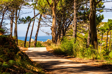 Paisaje en las Islas Cíes, Galicia.