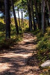 Paisaje en las Islas Cíes, Galicia.