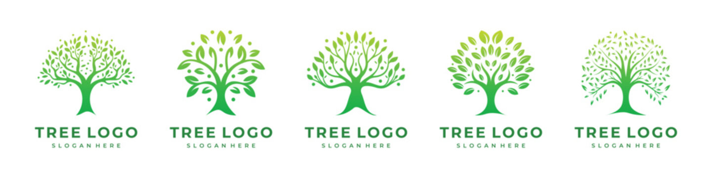 set of best tree logo design template collections