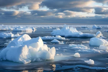 Gordijnen Antartica Ice Melting  © rouda100
