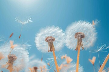 Amidst the vast blue sky, a cluster of dandelions releases their delicate seeds into the world, embodying the beauty and resilience of nature's ever-changing cycle