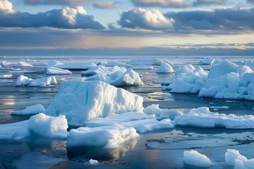 Photo sur Plexiglas Antarctique Antartica Ice Melting 