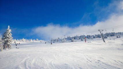 Fototapeta premium Zima na stoku narciarskim