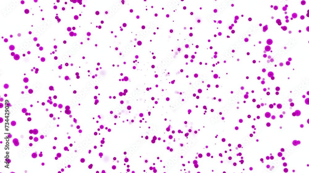 Poster animation with bubbles moving up on white background. design. colored bubbles rise in space. stream 