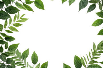 Fototapeta premium Green Leaves Border isolated on transparent and white background.PNG image 