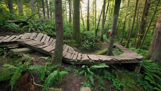 Scenic Green Forest with Mountain Biker Riding Wood Obstacle