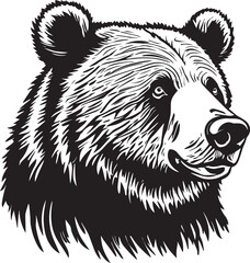 Bear Face Illustration