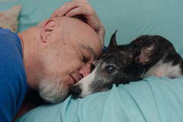 A mature, bald man gives an affectionate kiss to his greyhound on the sofa