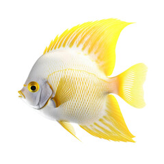 Angelfish PNG Cutout, Generative AI