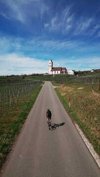 Man cyclist riding road bicycle through vineyards in spring. Vertical video