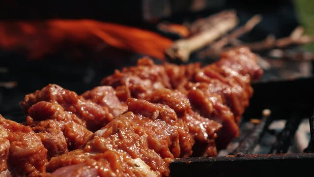 Meat on skewers roasted on fire. Grilled pork meat on metal skewer