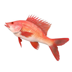 Fototapeta premium Hogfish PNG Cutout, Generative AI