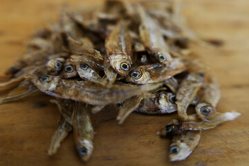 Fish