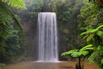 Millaa Millaa Falls, Atherton Tablelands, Queensland, Australia