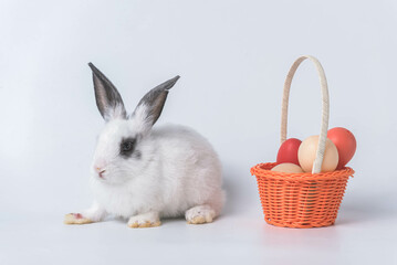 A cute little Easter bunny crouched next to an orange basket. Put eggs in a basket and send them to you on Easter. It is a cute and beautiful pet.