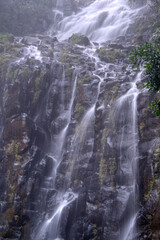 Mungalli Falls, nestled in the Atherton Tablelands of Queensland, cascades through lush rainforest terrain, offering a stunning display of natural power, serenity, and tropical beauty.