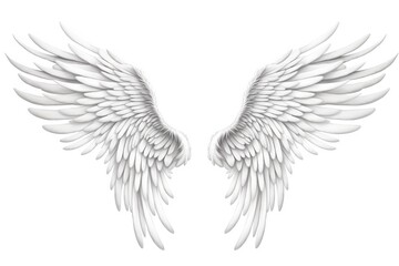 Obraz premium artistic outline of wings