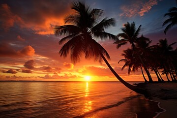 sunset beach view with coconut trees on the coast