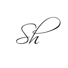 A hand-drawn signature logo design template	