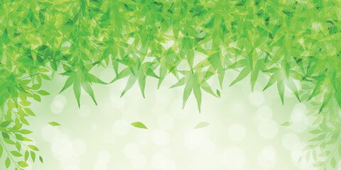 もみじ　新緑　暑中見舞い　背景