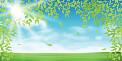 Obraz premium 新緑 空 草原 背景