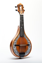 Mandolin: A small string instrument - 734503693