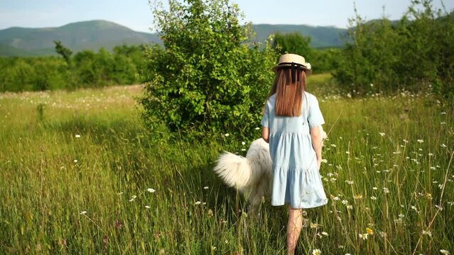 Happy girl walks dog in daisy field. Countryside Outdoor walk with pet. Dressed in a blue dress and a straw hat.