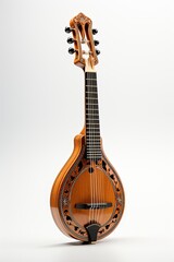 Mandolin: A small string instrument - 734503825