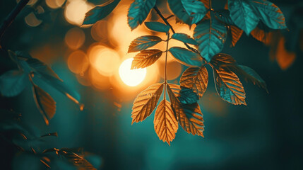 The setting sun casts a warm, golden light through the dense foliage of verdant leaves,...