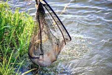 Fragment of fishing on a lake with clouds reflected in the water