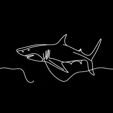 There is a shark depicted in black and white, with its outline drawn on a background that is also black.