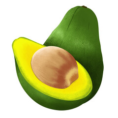 tropical avocado fruit illustration in png format