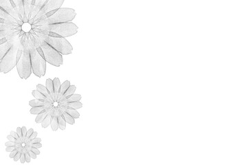 抽象的な水彩のモノクロの花に白背景のフレーム素材